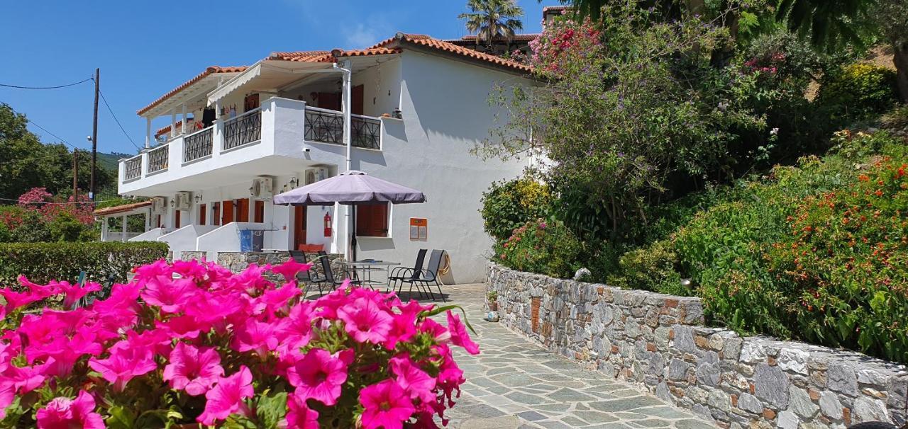 Drosia Apartments Platanias  Esterno foto